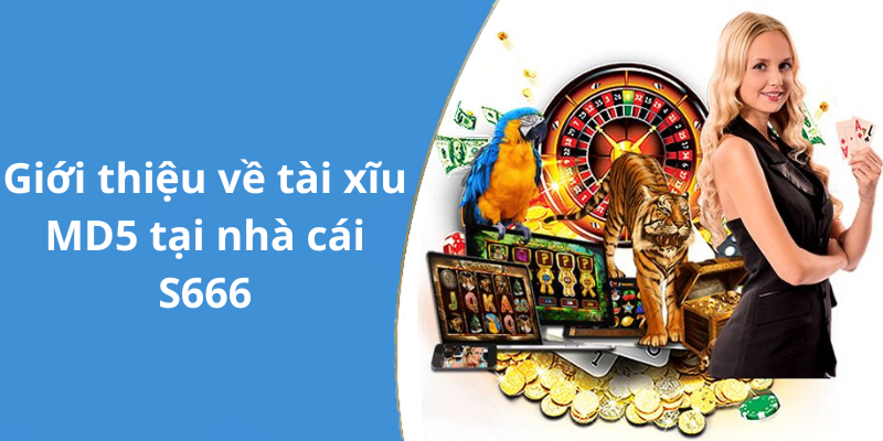 Giới thiệu về tài xĩu MD5 tại nhà cái S666